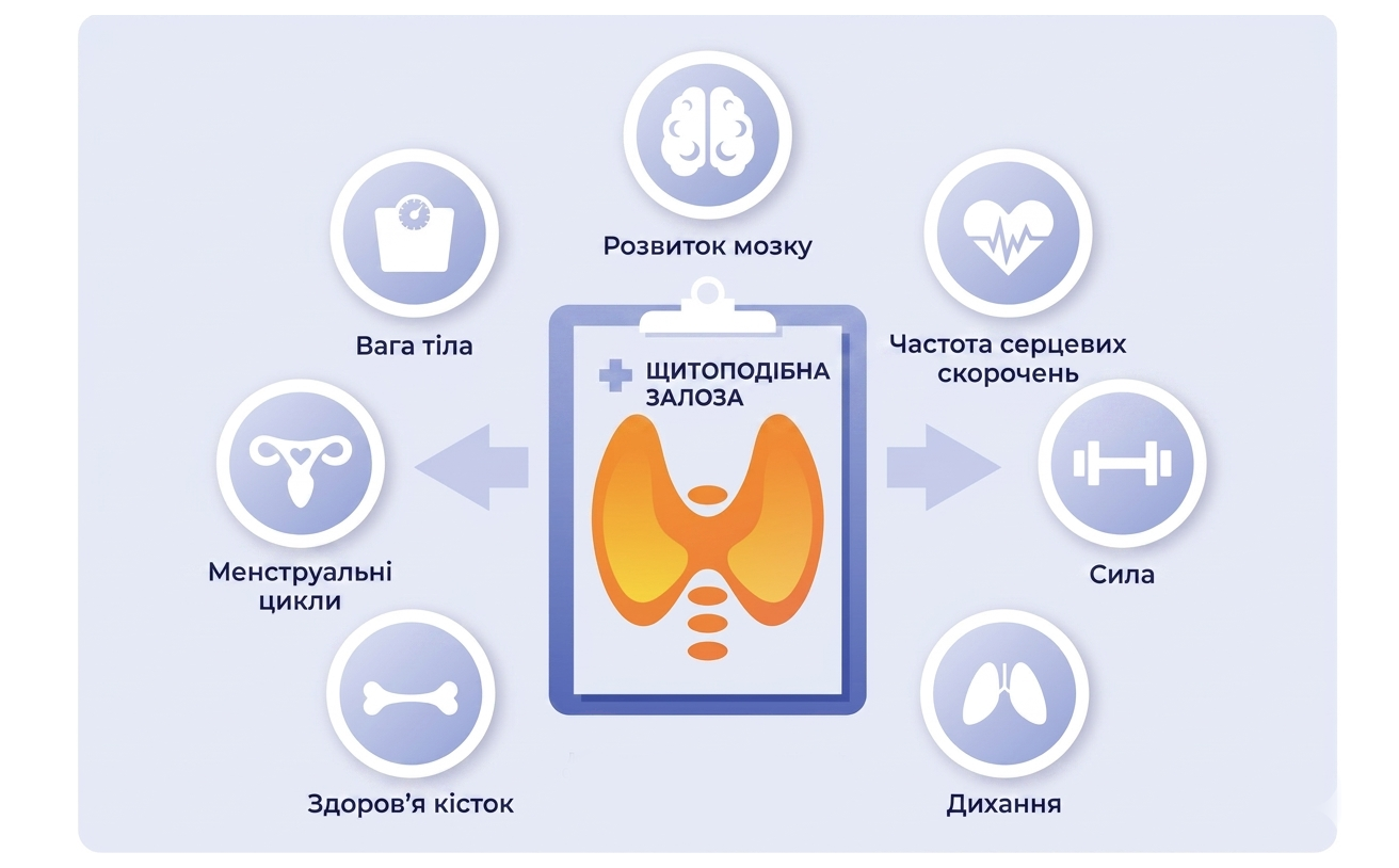 УЗД щитоподібної залози